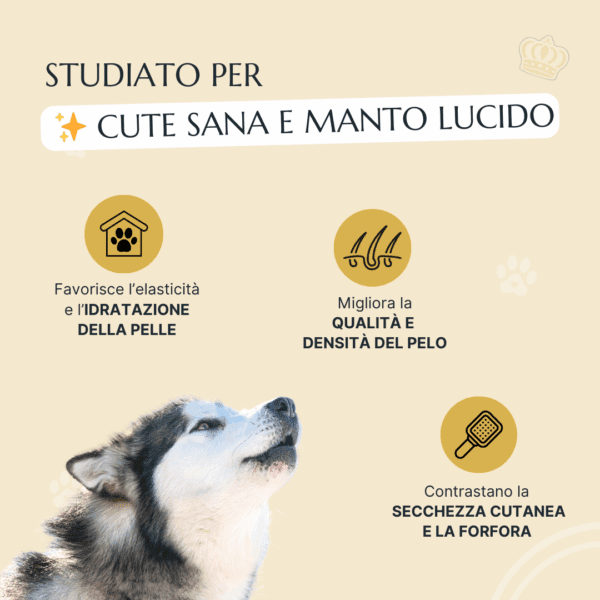 Snack Cute e Mantello